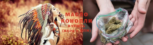 сатива Снежногорск