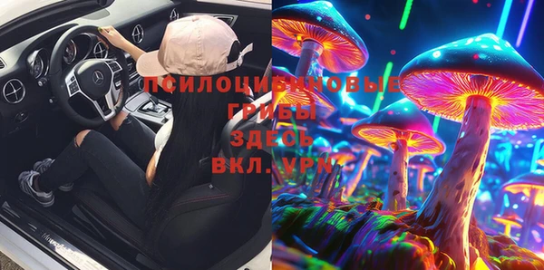 дурь Слюдянка