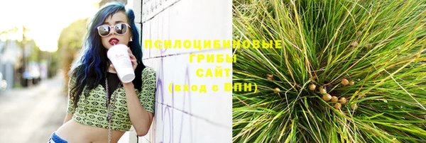 дурь Слюдянка