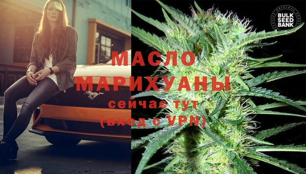 сатива Снежногорск