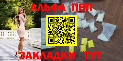 индика Бийск