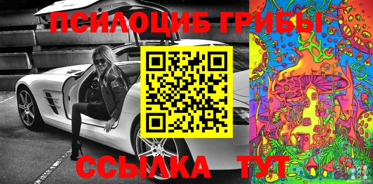 Псилоцибиновые грибы Psilocybine cubensis Прокопьевск